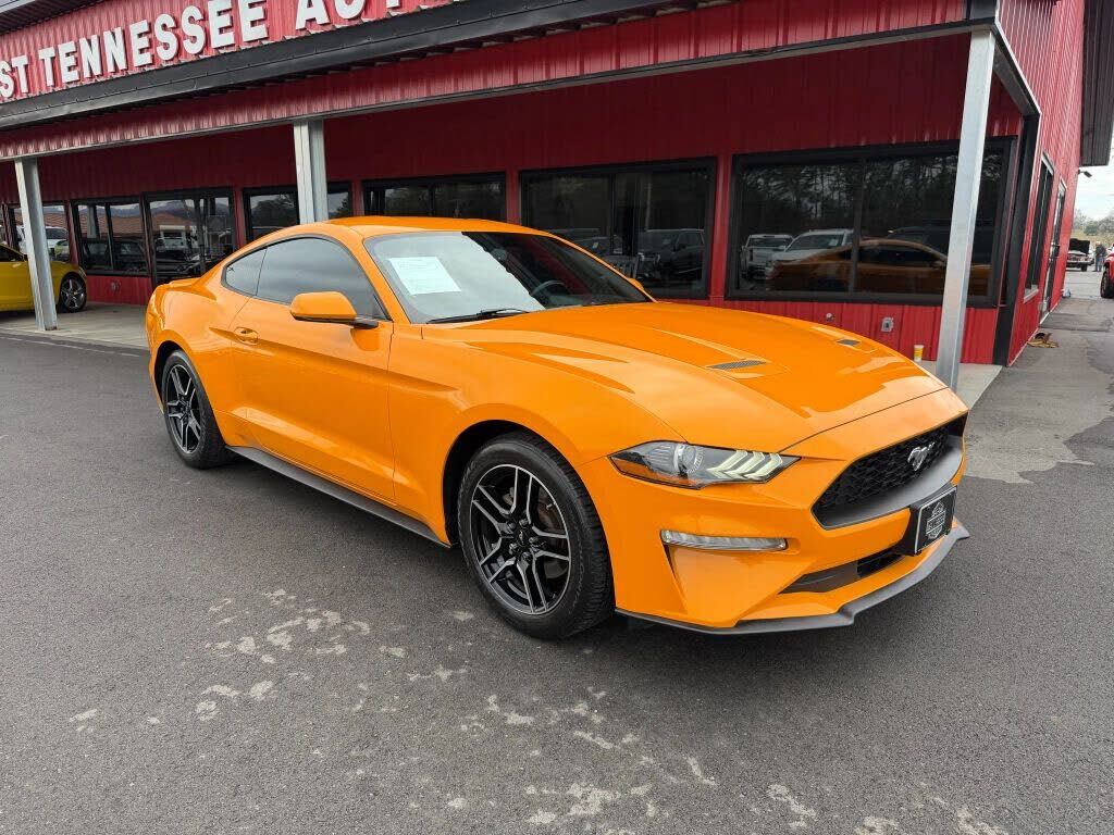 2019 FORD Mustang