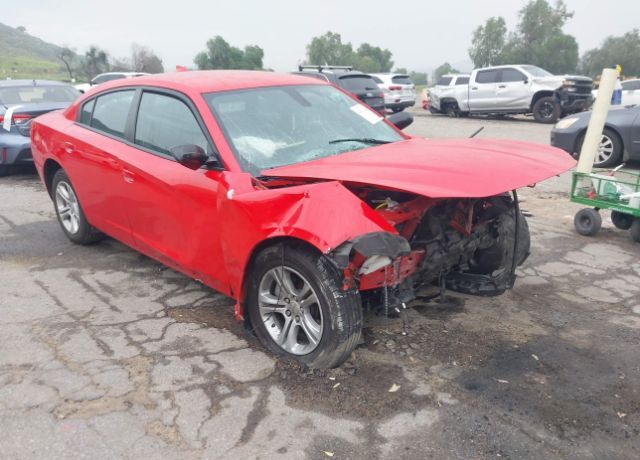2023 DODGE Charger