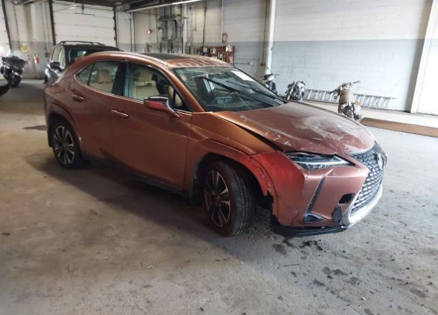 2025 LEXUS UX