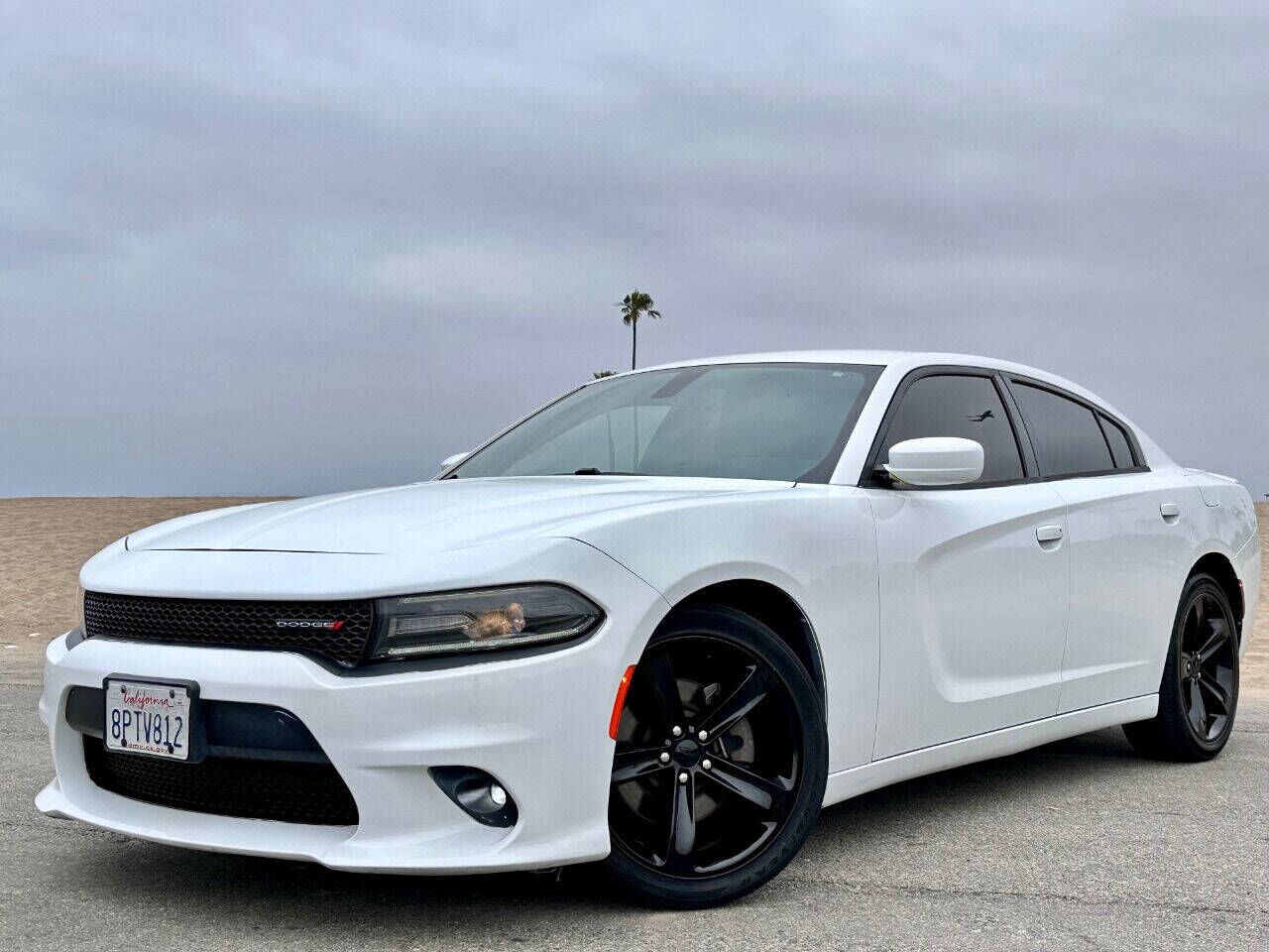 2017 DODGE Charger