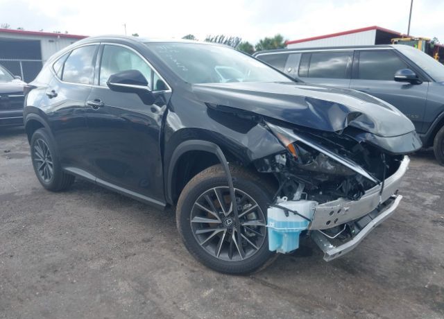 2025 LEXUS NX
