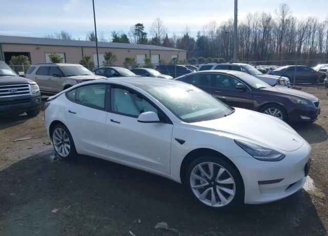2019 TESLA Model 3