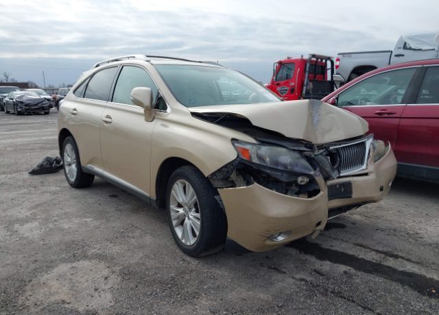 2010 LEXUS RX