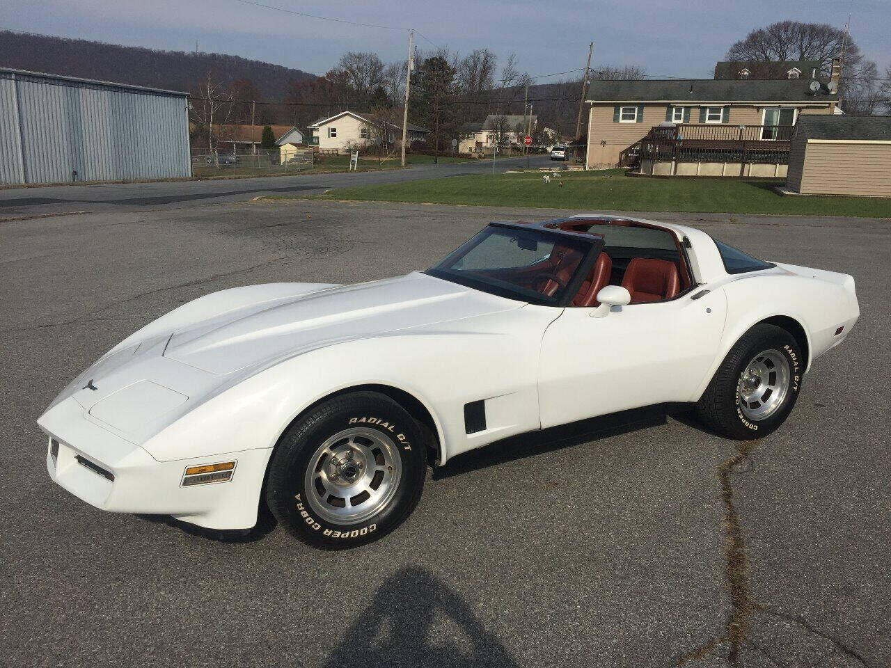 1981 CHEVROLET Corvette