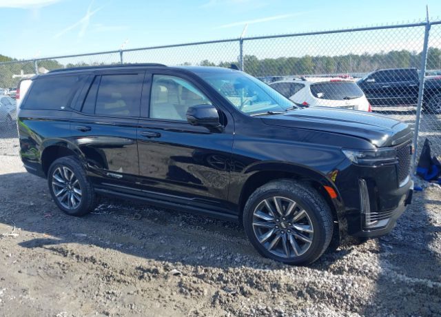 2023 CADILLAC Escalade