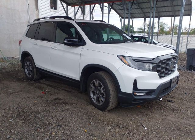 2023 HONDA Passport