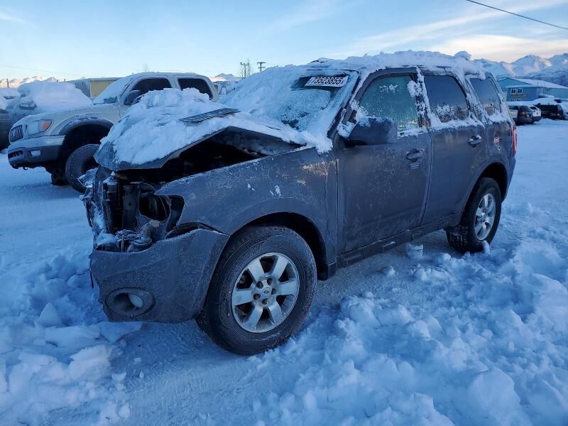 2011 FORD Escape