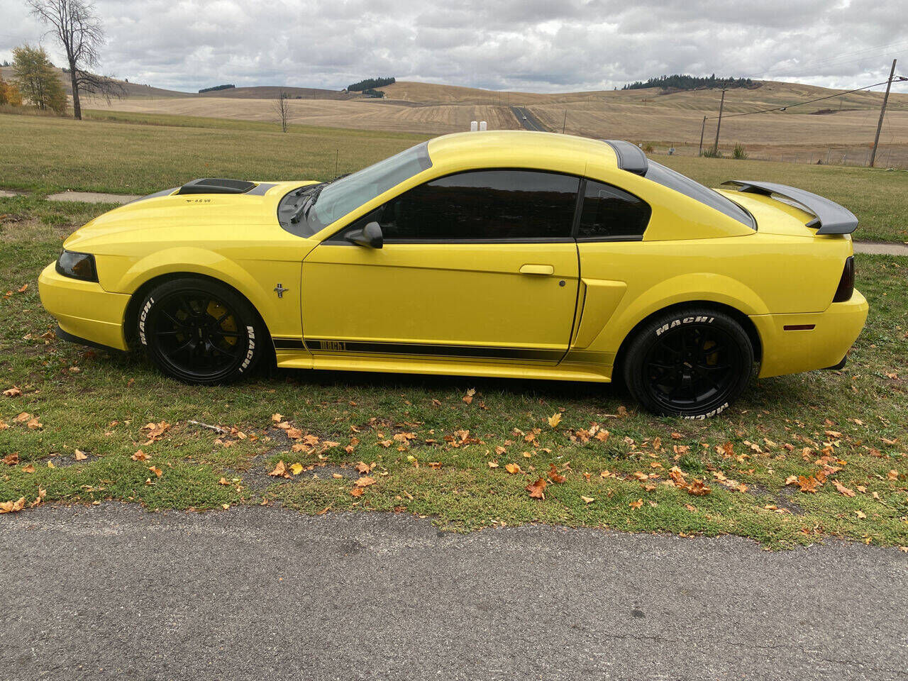 2003 FORD Mustang