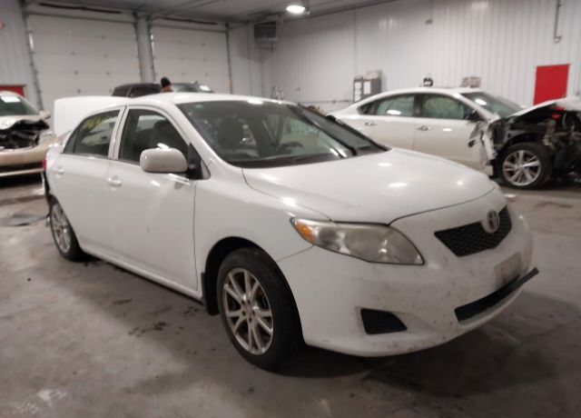 2010 TOYOTA Corolla