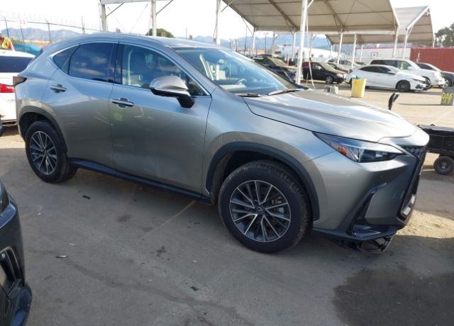2024 LEXUS NX