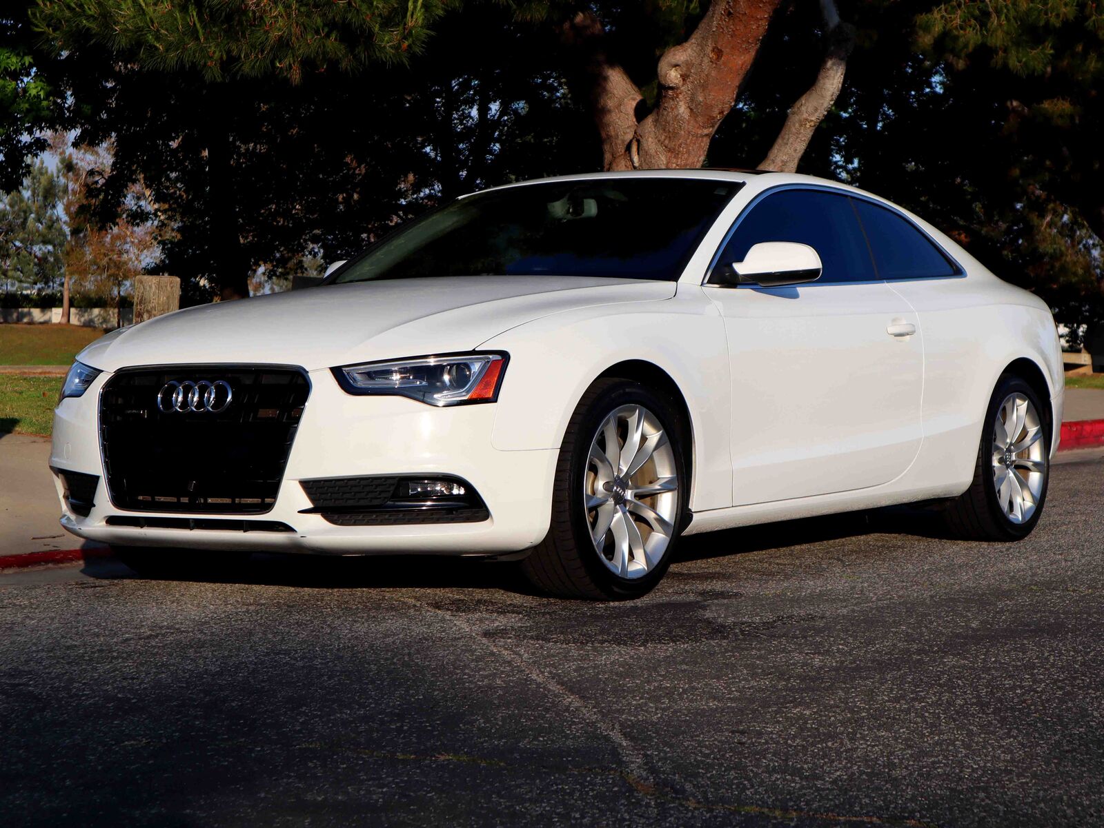 2013 AUDI A5