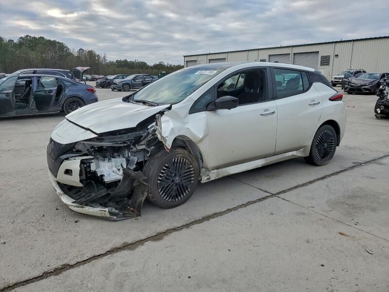2024 NISSAN Leaf