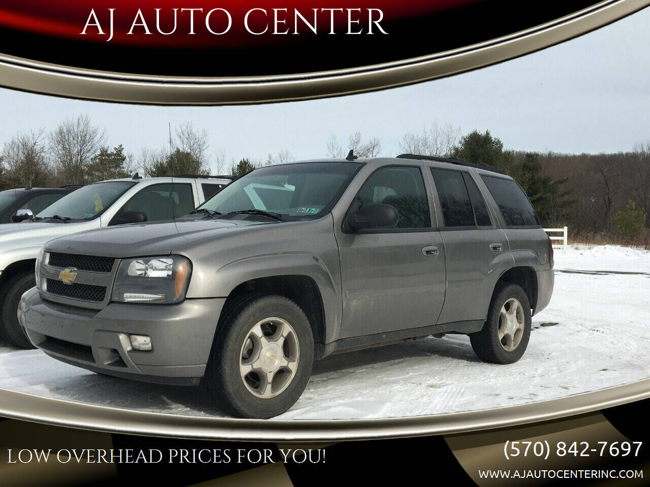 2009 CHEVROLET Trailblazer
