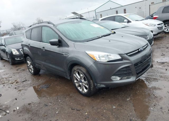 2014 FORD Escape