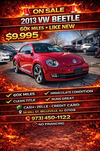 2013 VOLKSWAGEN Beetle