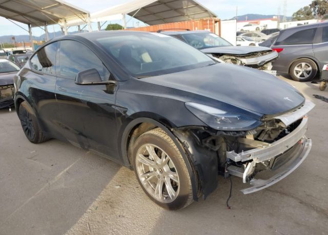 2024 TESLA Model Y