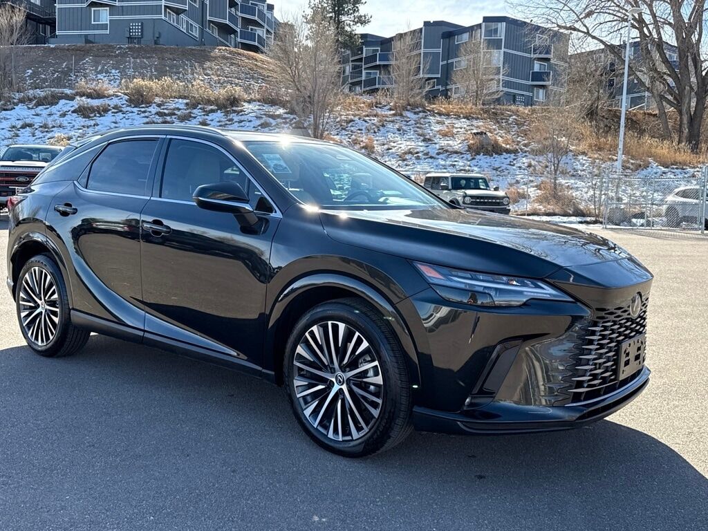 2024 LEXUS RX