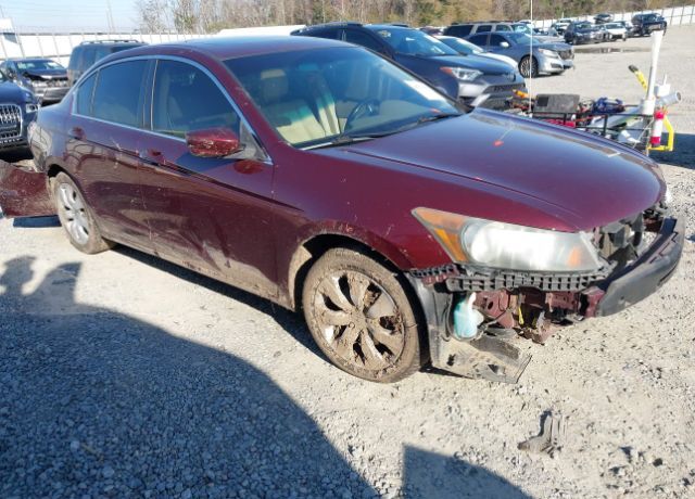 2009 HONDA Accord