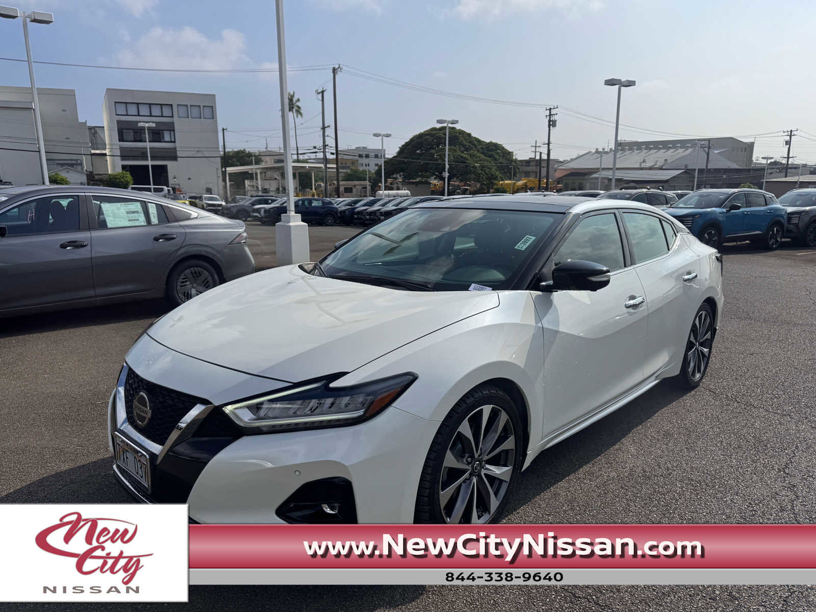 2019 NISSAN Maxima