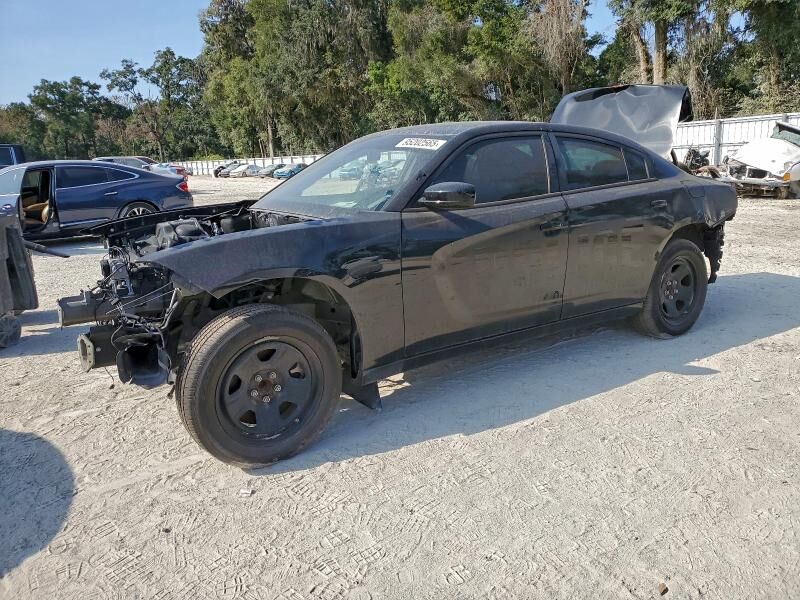 2019 DODGE Charger