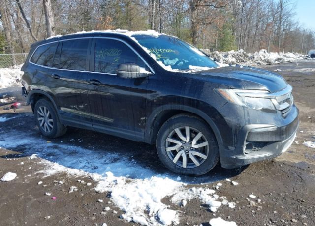 2019 HONDA Pilot