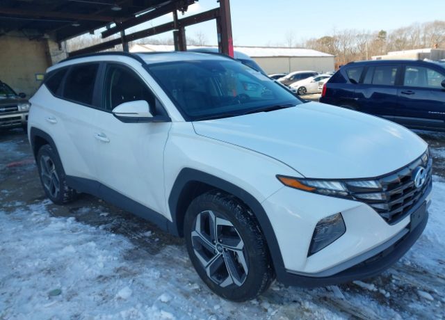 2024 HYUNDAI Tucson