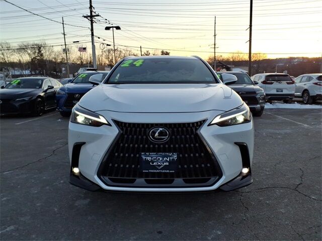 2025 Lexus NX