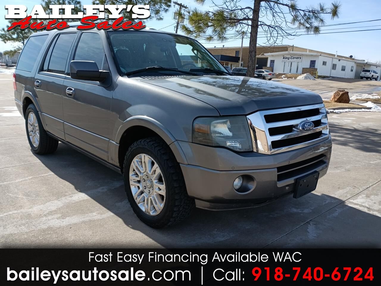 2013 FORD Expedition