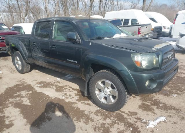2009 TOYOTA Tacoma