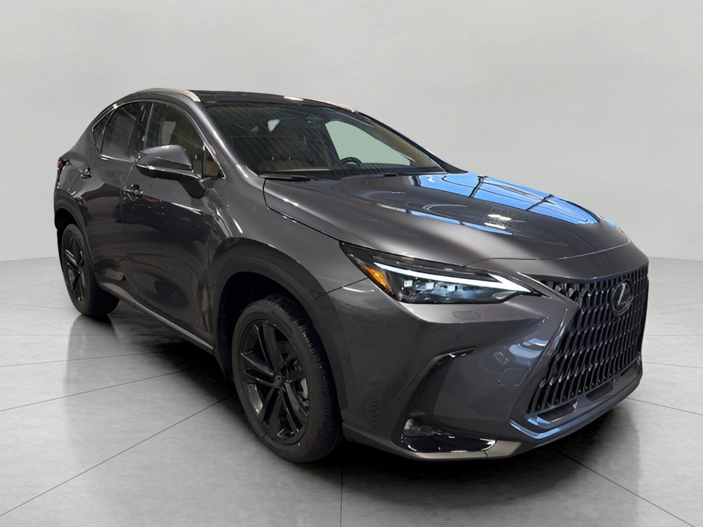 2026 LEXUS NX