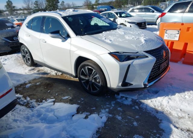 2025 LEXUS UX