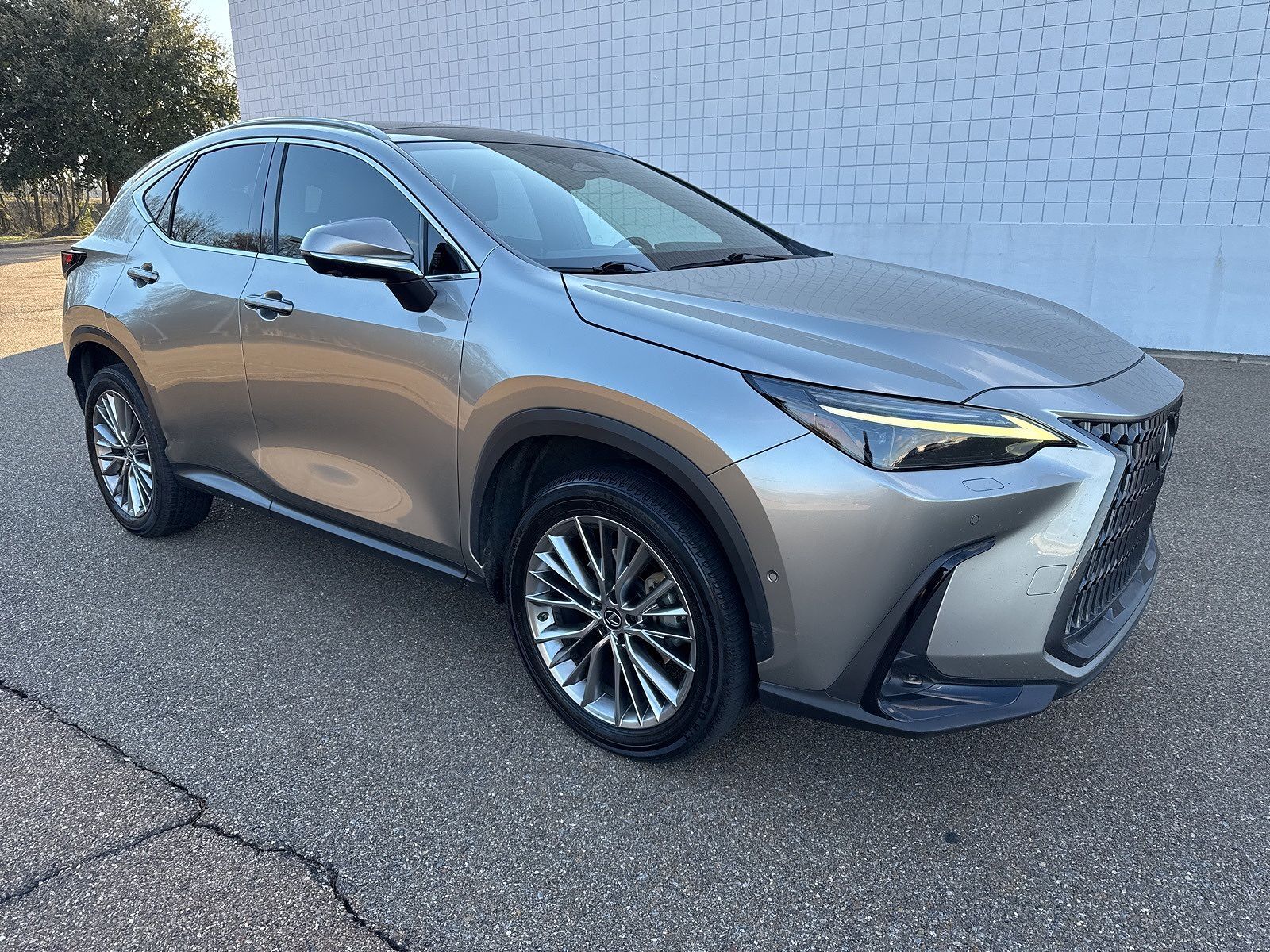 2022 LEXUS NX