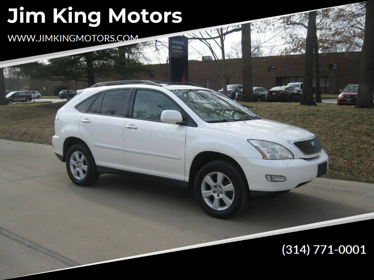2008 LEXUS RX