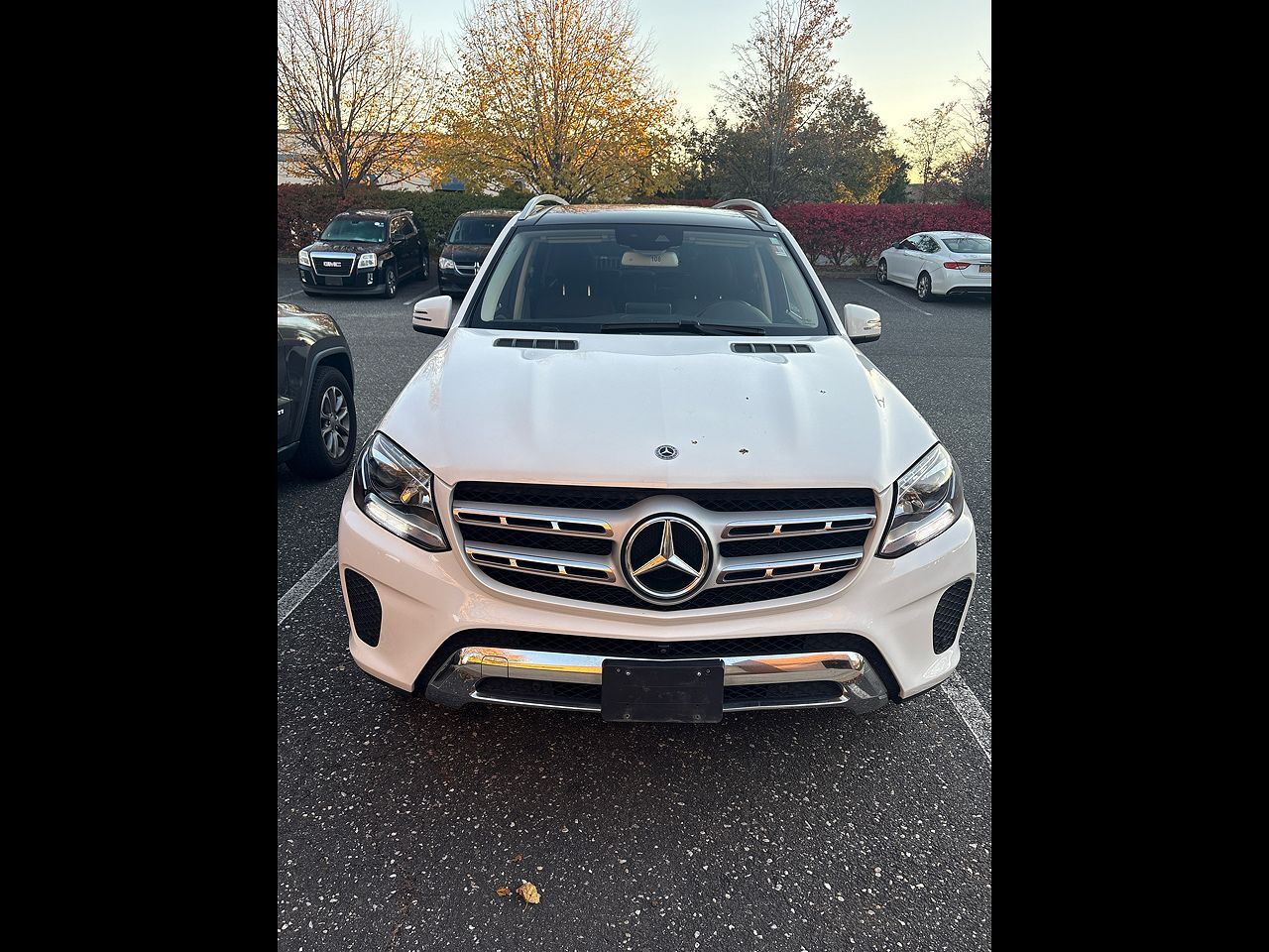 2019 MERCEDES-BENZ GLS-Class