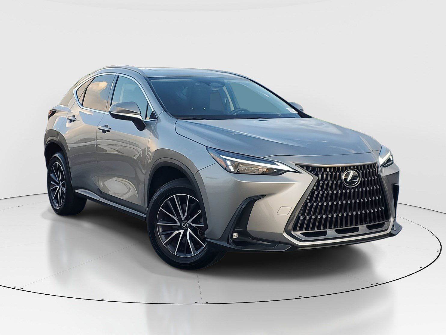 2024 LEXUS NX