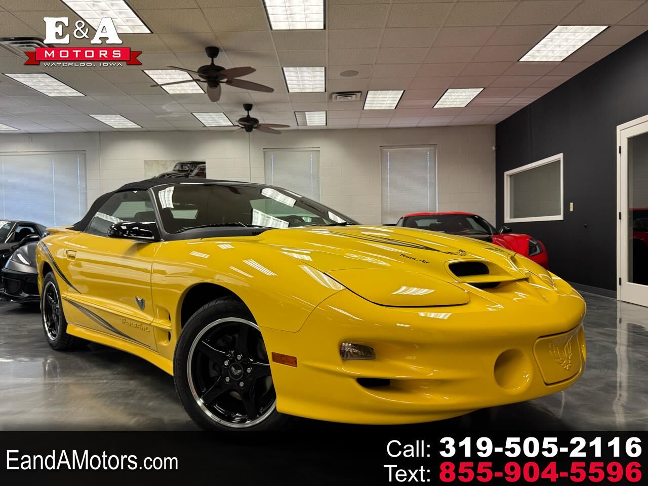 2002 PONTIAC Firebird