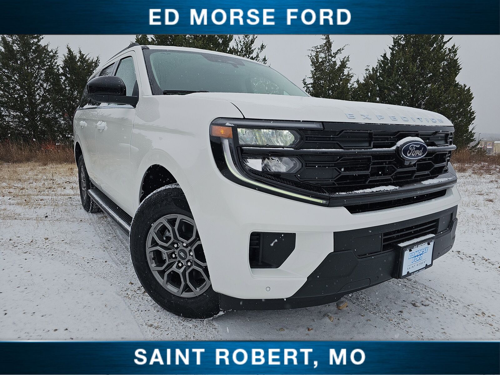 2025 FORD Expedition