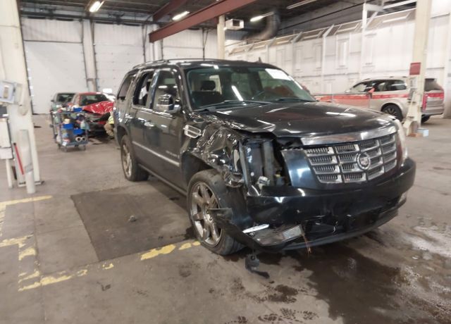 2008 CADILLAC Escalade