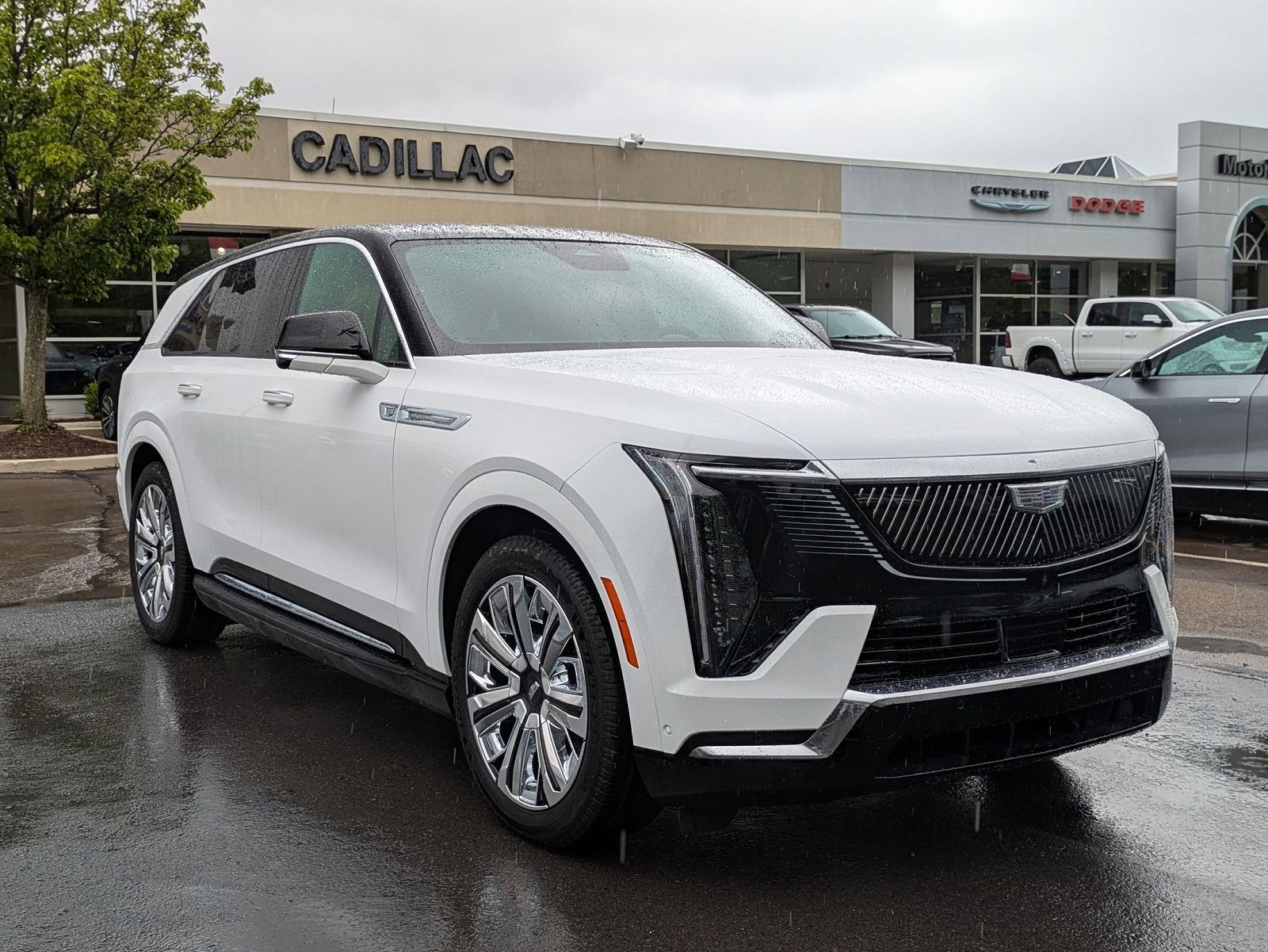 2025 CADILLAC Escalade IQ