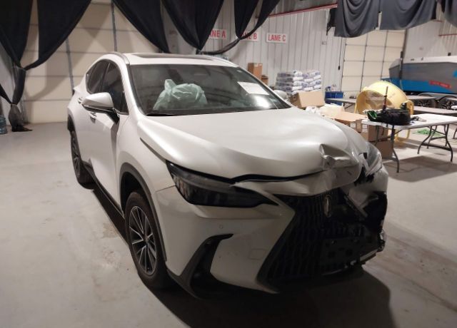 2025 LEXUS NX