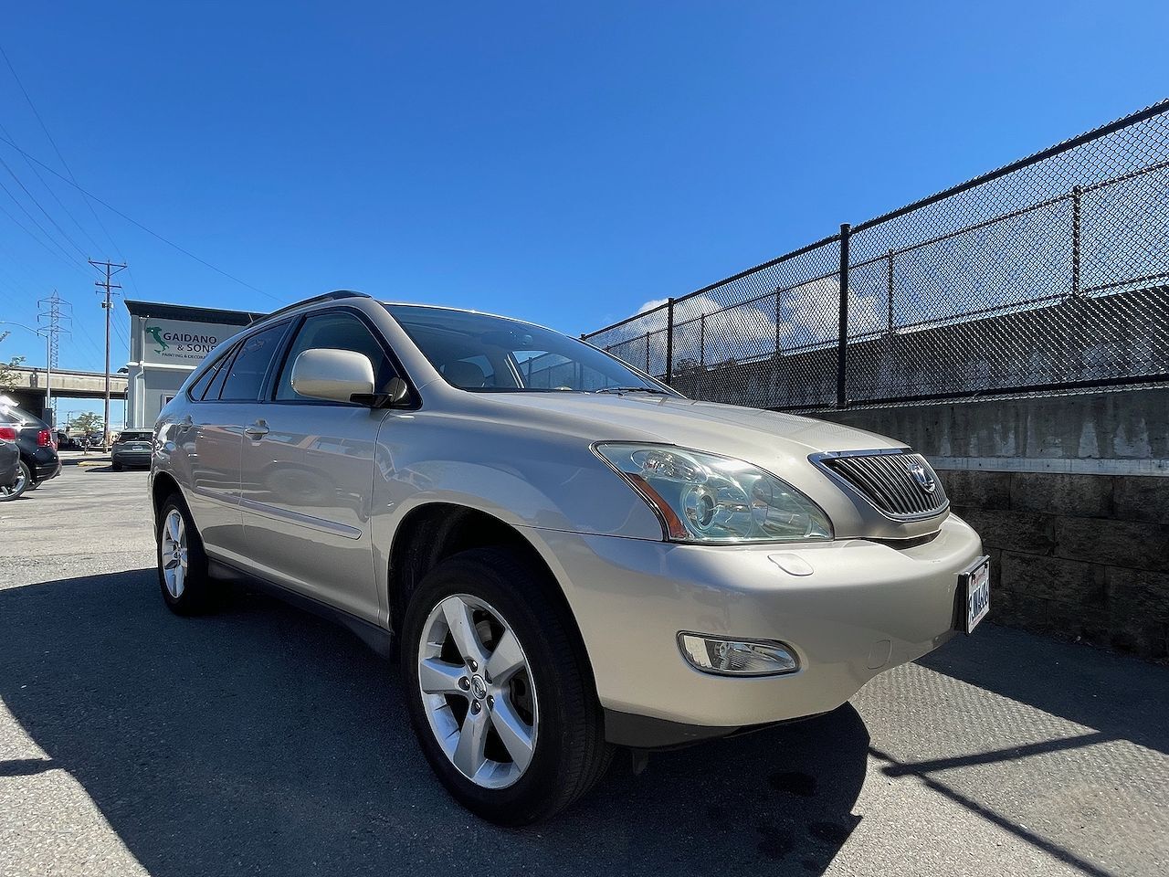 2004 LEXUS RX
