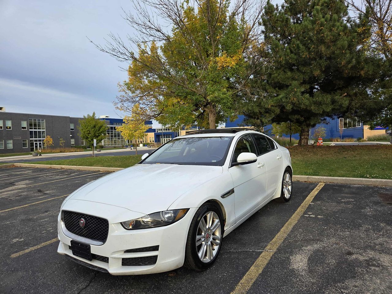 2019 JAGUAR XE