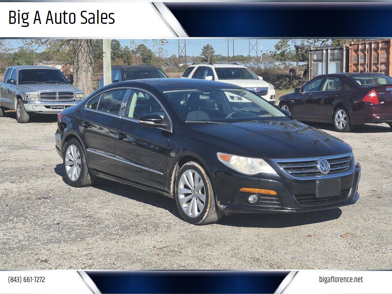2010 VOLKSWAGEN Passat