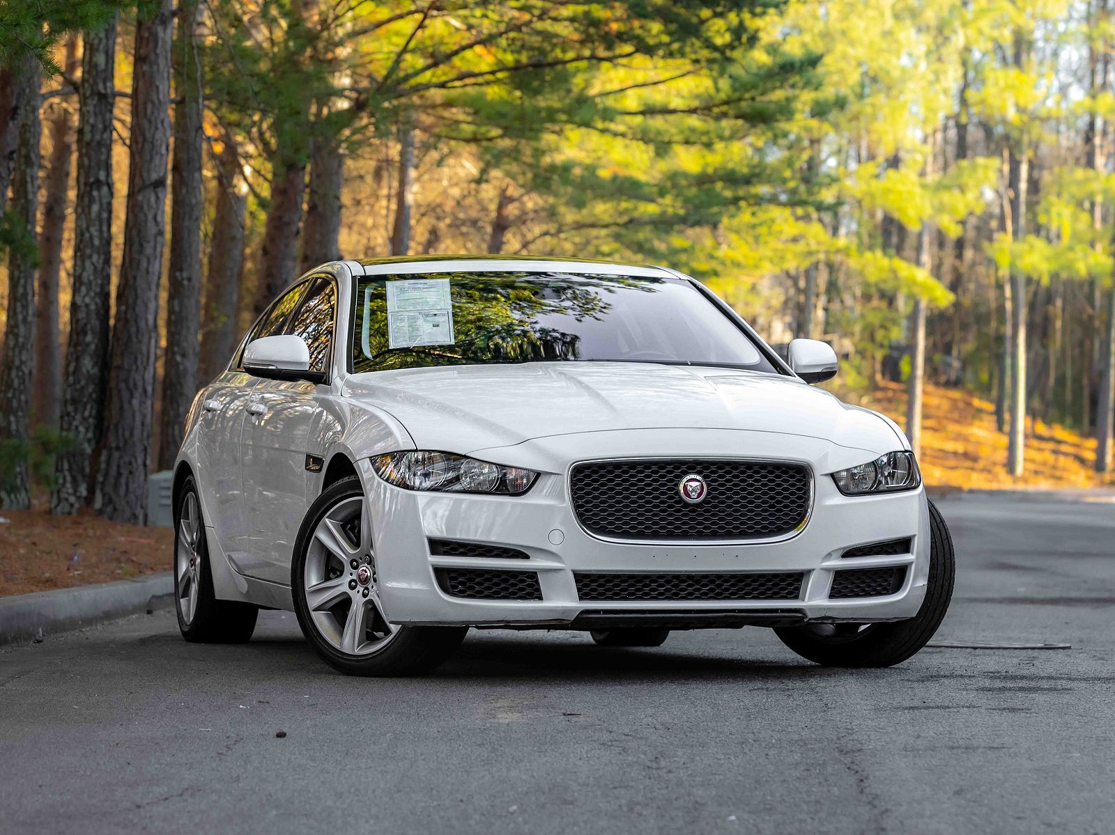 2019 JAGUAR XE