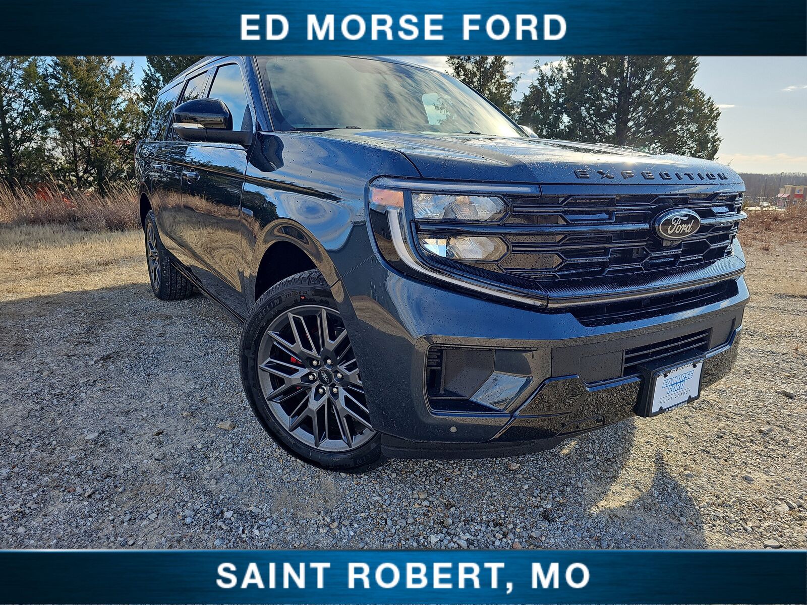 2025 FORD Expedition