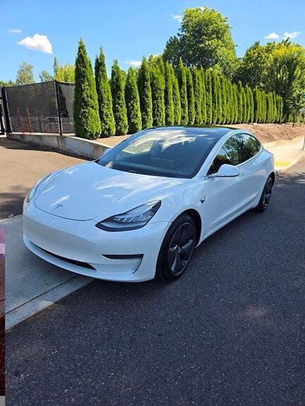 2020 TESLA Model 3