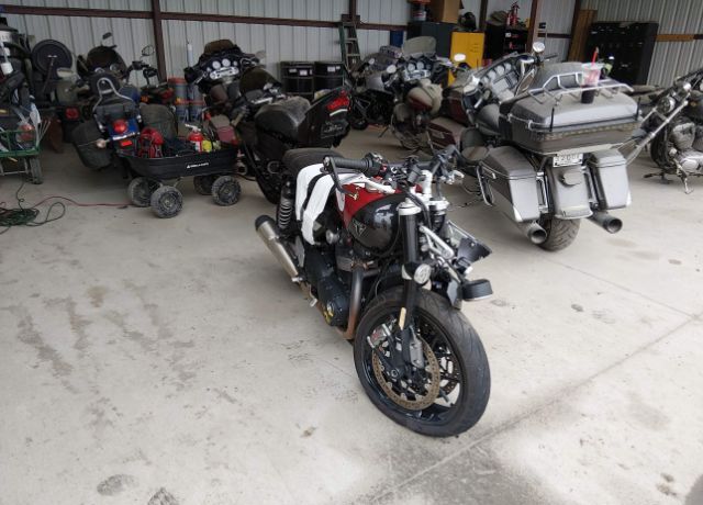 2024 TRIUMPH Speed Twin