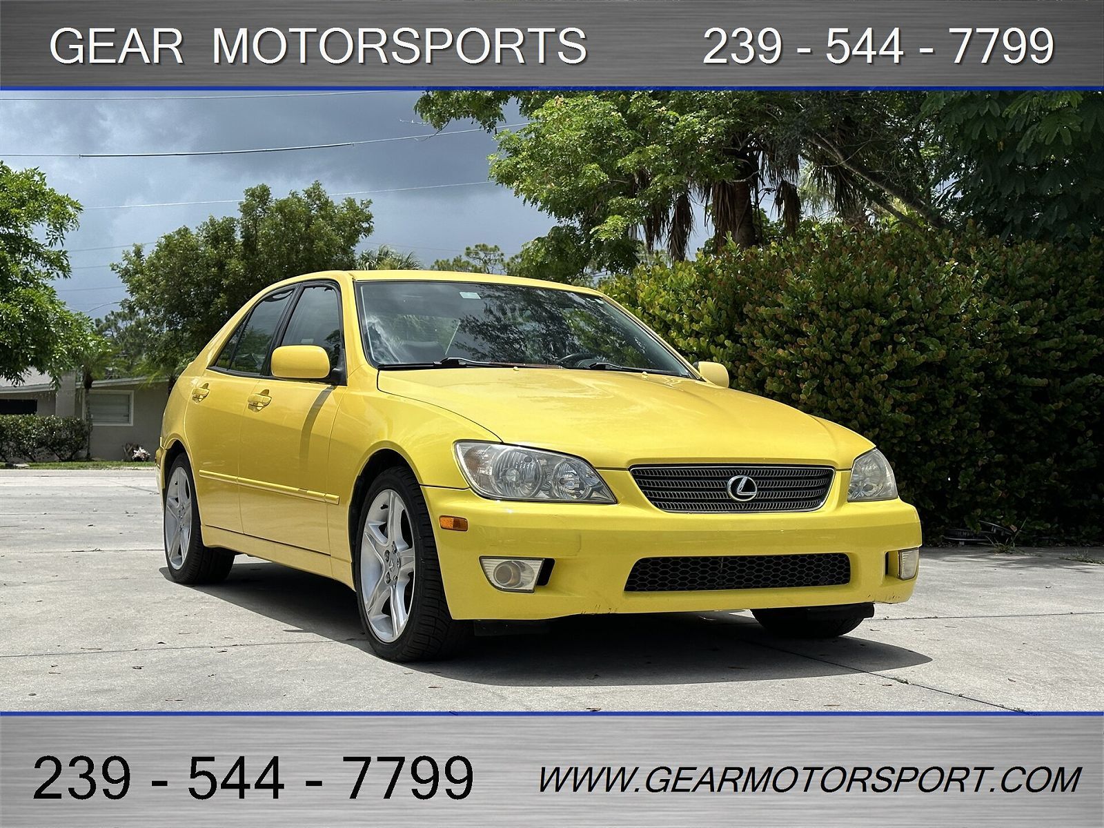 Lexus IS