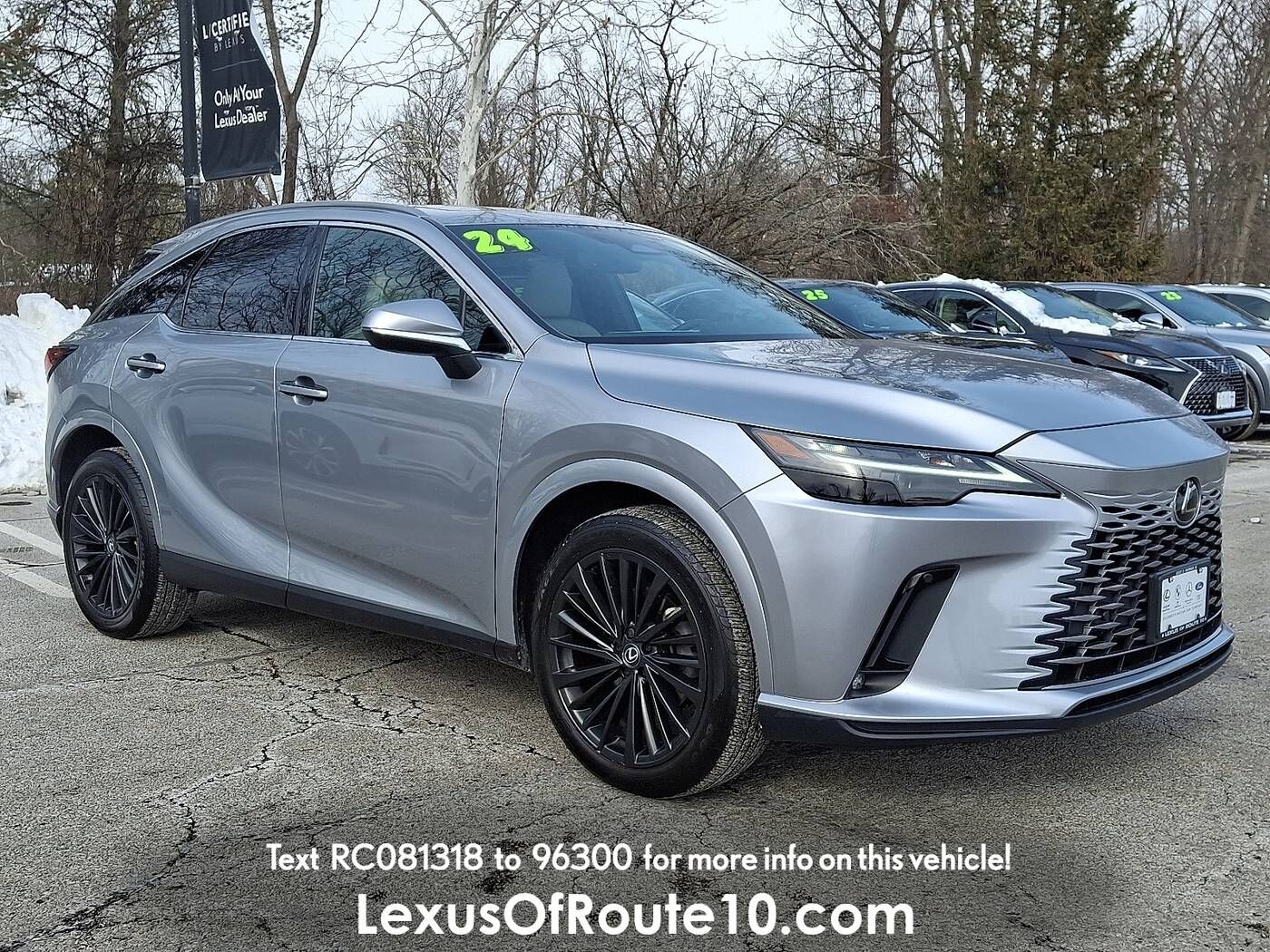 2024 LEXUS RX