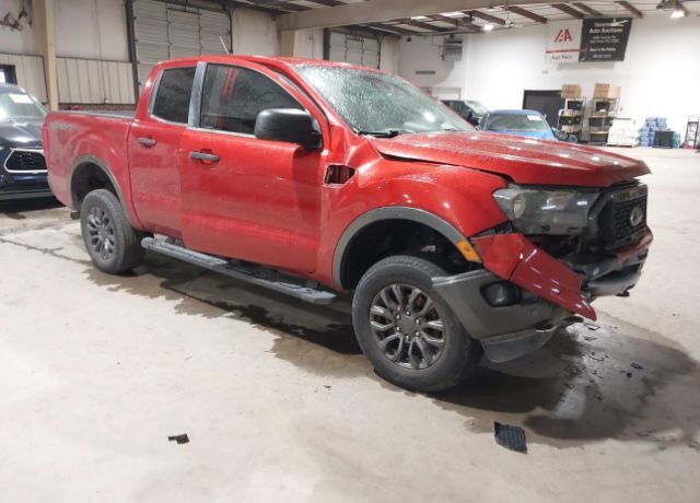 2019 FORD Ranger